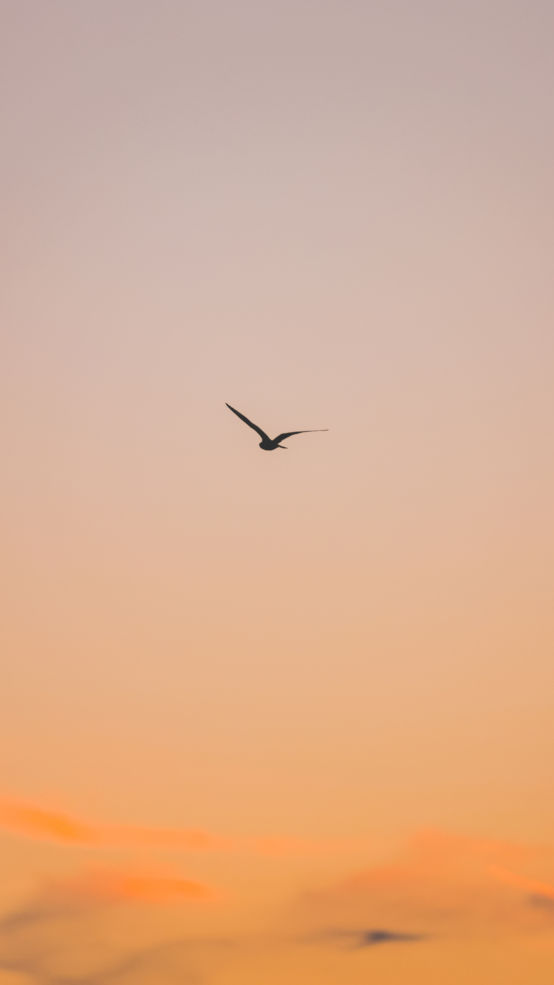 Homepage-Sunrise-Section 1.png Homepage-Sunrise-Section 1.png